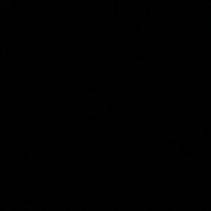 Meet your Posher, Allie